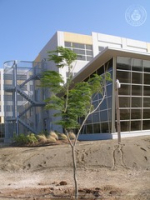 Construccion Edificio BelFin (2005-2008), image # 647, BKConsult