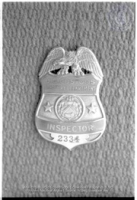 Badge U.S. Customs, Image # 6, BUVO