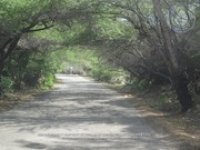Route 08: Franse Pas - Balashi, 2016-08-07 (Proyecto Snapshot), Archivo Nacional Aruba