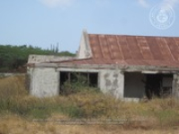 Route 30: Parkietenbos - Cas di Cunucu, 2017-03-26 (Proyecto Snapshot), Archivo Nacional Aruba