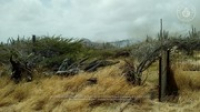 Route 31: Fire / Candela, 2017-04-03 (Proyecto Snapshot), Archivo Nacional Aruba