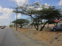 Route 41: Green Corridor - Pos Chiquito - Savaneta, 2017-06-20 (Proyecto Snapshot), Archivo Nacional Aruba