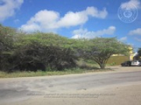 Route 47: Watty Vos Boulevard - Paradijswijk, 2017-07-08 (Proyecto Snapshot), Archivo Nacional Aruba