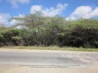 Route 47: Watty Vos Boulevard - Paradijswijk, 2017-07-08 (Proyecto Snapshot), Archivo Nacional Aruba