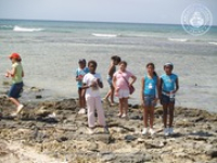 Aruba cleans up with the AHATA, image # 10, The News Aruba