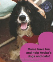 Animal lovers can have fun today and help Animal Right Aruba protect the island's stray dogs and cats!, image # 4, The News Aruba