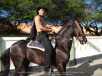 Horse Parade 2006 was a dashing affair, image # 7, The News Aruba