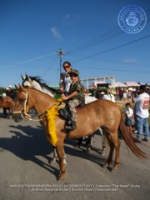 Horse Parade 2006 was a dashing affair, image # 17, The News Aruba