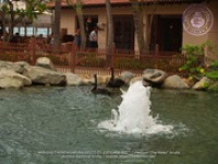 Easter Brunch at the Hyatt is a traditional holiday celebration for many visitors, image # 2, The News Aruba