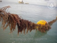 Sea Solutions provides safety and education for regarding Aruba's coastline environment, image # 8, The News Aruba