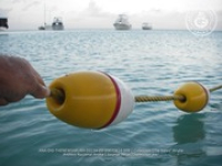 Sea Solutions provides safety and education for regarding Aruba's coastline environment, image # 9, The News Aruba