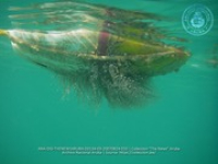 Sea Solutions provides safety and education for regarding Aruba's coastline environment, image # 10, The News Aruba