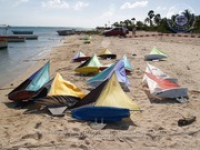 It was smooth sailing on Himno y Bandera Day!, image # 20, The News Aruba