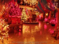 What is so special about Christmas?, image # 4, The News Aruba