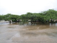 Flooding pictures 16 november 2006, image # 31, The News Aruba