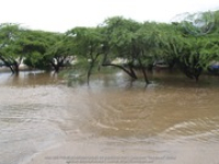 Flooding pictures 16 november 2006, image # 33, The News Aruba