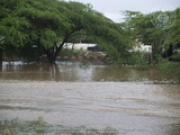 Flooding pictures 16 november 2006, image # 34, The News Aruba