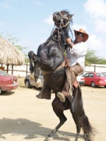 Aruba's young equestrians to travel to the World Championships in Florida, image # 7, The News Aruba