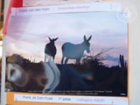 Happy Birthday to Aruba's donkeys!, image # 66, The News Aruba