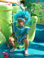 Children's Parade has the streets of San Nicolaas abloom with color!, image # 105, The News Aruba