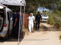 Search of van der Sloot property, image # 7, The News Aruba