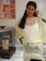Juliana School conducts their annual Science Fair, image # 18, The News Aruba