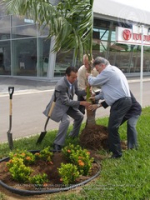 Toyota Tree planting, image # 1, The News Aruba