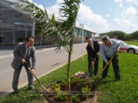 Toyota Tree planting, image # 3, The News Aruba