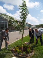 Toyota Tree planting, image # 4, The News Aruba