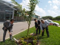 Toyota Tree planting, image # 5, The News Aruba