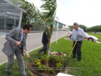 Toyota Tree planting, image # 6, The News Aruba