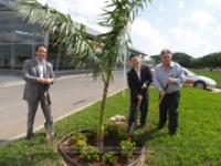 Toyota Tree planting, image # 7, The News Aruba