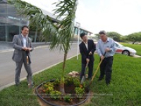 Toyota Tree planting, image # 8, The News Aruba