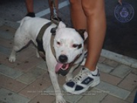 On Sunday, hundreds didn't walk their dogs, but walked for the dogs!, image # 9, The News Aruba