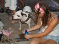 On Sunday, hundreds didn't walk their dogs, but walked for the dogs!, image # 10, The News Aruba