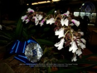Aruba's Orchid Society gave the gift of beauty for the holiday weekend, image # 6, The News Aruba