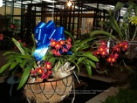 Aruba's Orchid Society gave the gift of beauty for the holiday weekend, image # 22, The News Aruba