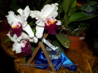 Aruba's Orchid Society gave the gift of beauty for the holiday weekend, image # 32, The News Aruba