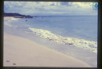 Beach, Aruba, Aruba Tourism Bureau