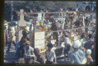 "Dewars White Label", Parada di Carnaval 20, Aruba, 1974, Aruba Tourism Bureau