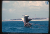 Scheepswrak, Hudishibana (California) Lighthouse, Aruba, 1968, Aruba Tourism Bureau