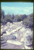 Rooi, Aruba, Aruba Tourism Bureau