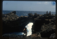 Noordkust, Aruba, Aruba Tourism Bureau