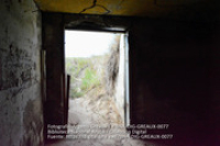 Coleccion Fotografico Argenis Greaux: Potret # 0077 (Album: Bunker Colony), Greaux, Argenis (photographer)