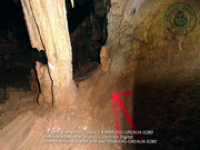 Coleccion Fotografico Argenis Greaux: Potret # 0280 (Album: Huliba Cave), Greaux, Argenis (photographer)