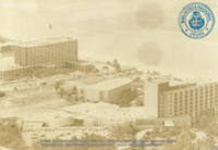 Luchtfoto Hotels, Palm Beach (Dr. Johan Hartog Collection)