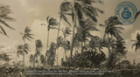 Kokospalmen, Cocal (Dr. Johan Hartog Collection), [Teunisse, Simon Johan]