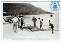 Envelope 1: Fishing/agriculture : Beeldcollectie Dr. Johan Hartog, St. Martin/Sint Maarten, no. 001-01-027