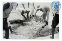 Envelope 1: Fishing/agriculture : Beeldcollectie Dr. Johan Hartog, St. Martin/Sint Maarten, no. 001-01-028