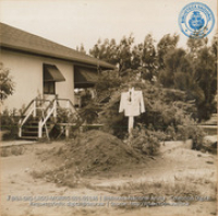 Ed Byington's scarecrow (#5146, Lago , Aruba, April-May 1944), Morris, Nelson